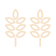 Icon Ingredient
